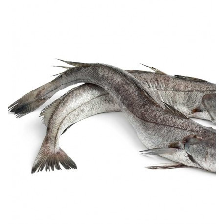 Frozen Fish and seafood products